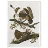 Image 2 : c1946 Audubon Print, #52 Chuck-Will's-Widow