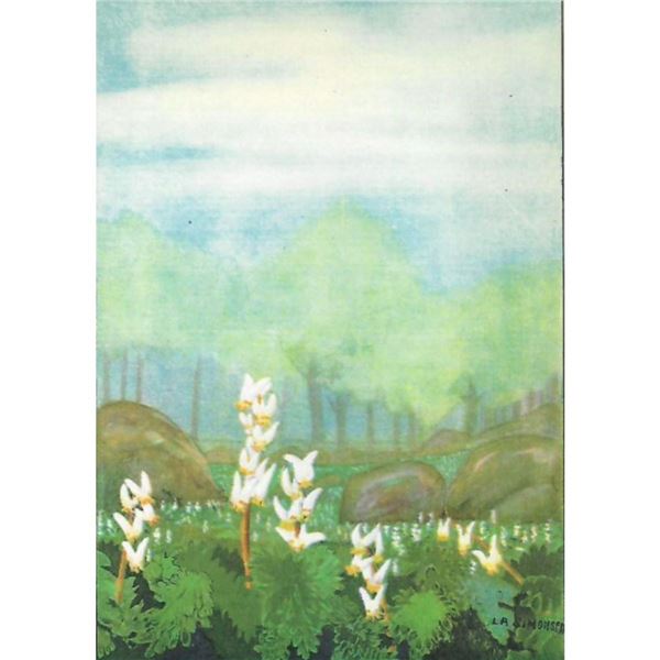 1920's Dutchman's Breeches Color Lithograph Print