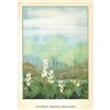 Image 2 : 1920's Dutchman's Breeches Color Lithograph Print