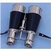Image 1 : Chrome Binoculars With Leather Case