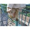 Image 9 : Metal Mesh Square Table & 2 Chairs w/ Outdoor Umbrella in Pedestal Base