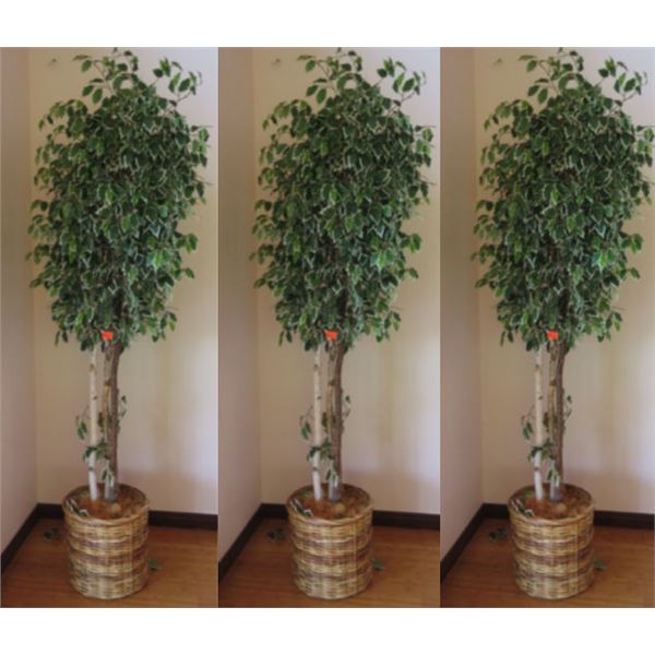 Qty 3 Indoor Potted Tall Artificial Trees