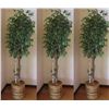 Image 1 : Qty 3 Indoor Potted Tall Artificial Trees
