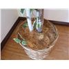 Image 6 : Qty 3 Indoor Potted Tall Artificial Trees