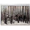 Image 1 : Winter Moose Art by Stephen Lyman, 1988