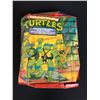 Image 1 : TEENAGE MUTANT NINJA TURTLES FIGURES w/ COLLECTOR CASE