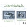 Image 2 : Small Grouping of Duck Stamps