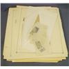 Image 1 : French Colonies Stamp Collection