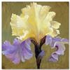 Image 1 : "Empress" Limited Edition Giclee on Canvas by Simon Bull, Numbered and Signed. This piece comes Gall