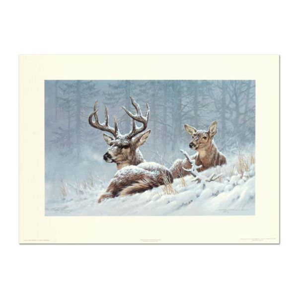 Larry Fanning, "Bedded Down (Whitetail Deer)" Hand Signed Limited Edition Lithograph with letter of 