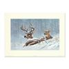Image 1 : Larry Fanning, "Bedded Down (Whitetail Deer)" Hand Signed Limited Edition Lithograph with letter of 