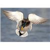 Louisiana: Weekend Duck Hunt and Fishing for 2 Male Hunters