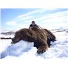 Image 1 : Kamchatka: Spring Bear Hunt for up to 2 Bears