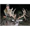 Texas: Trophy Whitetail and Exotic Combination Hunt for 2 Hunters