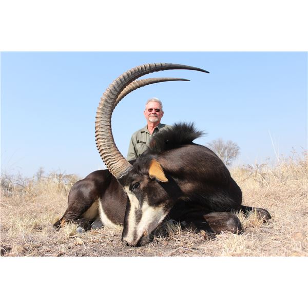 Limpopo, RSA: 10-day/9-night Plains Game Safari for 1 Hunter and 1 Non-Hunter including a Sable Bull