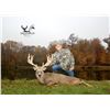 Image 3 : Ohio: 5-Star Ohio Estate Whitetail Hunt for 2 Hunters for 3-days/4-nights