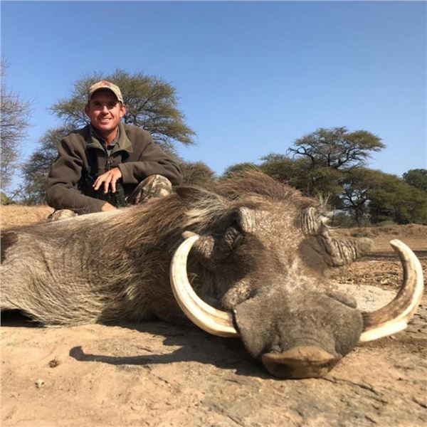 Limpopo, RSA: 7-day/7-night Plains Game Safari for 4 Hunters