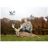Image 3 : Ohio: 5-Star Ohio Estate Whitetail Hunt for 2 Hunters for 3-days/4-nights