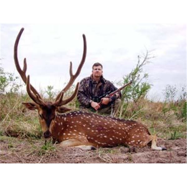 Argentina: 7-day Big Game Hunt for 2 Hunters including 6 Trophies