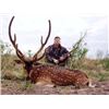 Image 1 : Argentina: 7-day Big Game Hunt for 2 Hunters including 6 Trophies