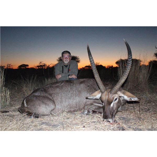 Limpopo, RSA: 7-day Plains Game Safari for up to 4 Hunters with Famed Numzaan Safaris