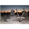 Image 1 : Limpopo, RSA: 7-day Plains Game Safari for up to 4 Hunters with Famed Numzaan Safaris