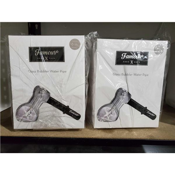 Famous X Glass Bubbler Watrer Pipe X2