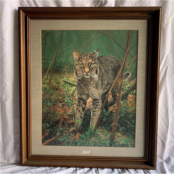 "Bobcat" by Charles Frace'