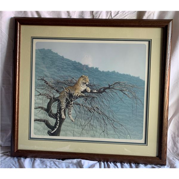 "Samburu Leopard" by Dennis Curry