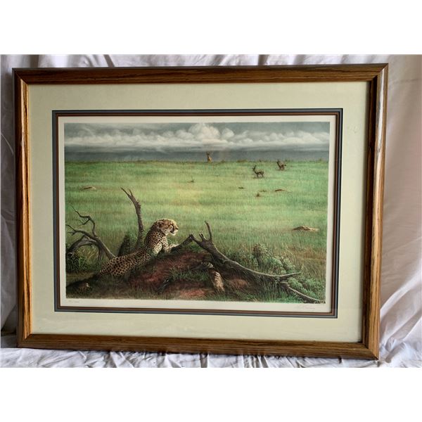 "Cheetah on the Mara" by Dennis Curry