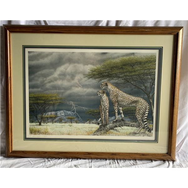 "Cheetahs of Samburu" by Dennis Curry