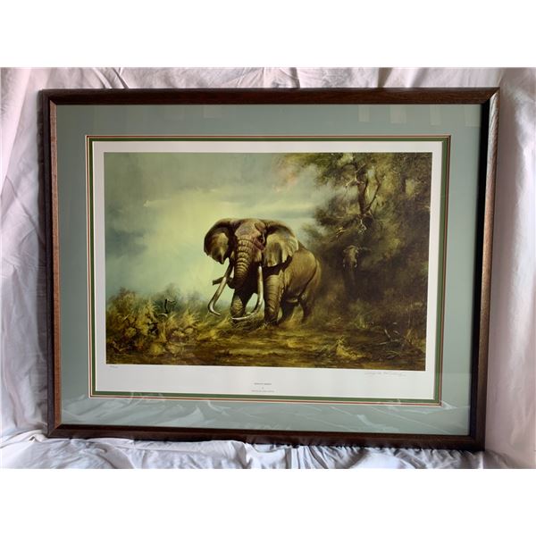 "Kenya's Ahmed" by Douglas Van Howd