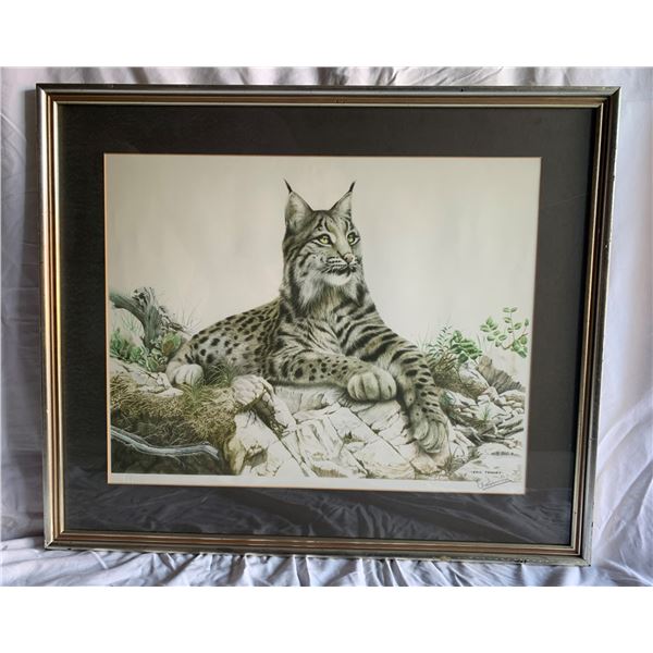 Bobcat by Eric Tenney