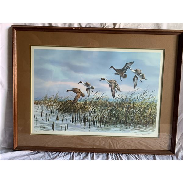 "Muskrat Bay" by Jim Killen