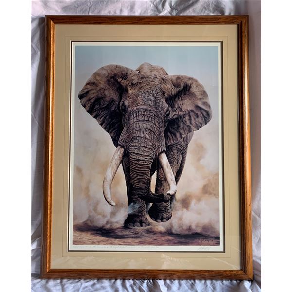 Elephant by JK Gregory