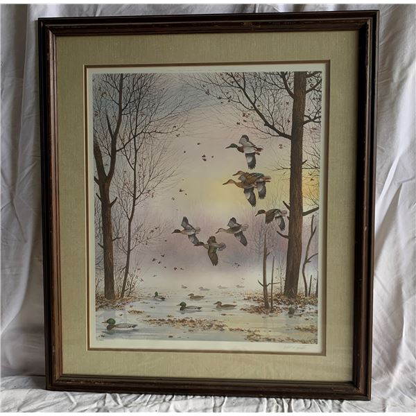 Mallards by John Carter