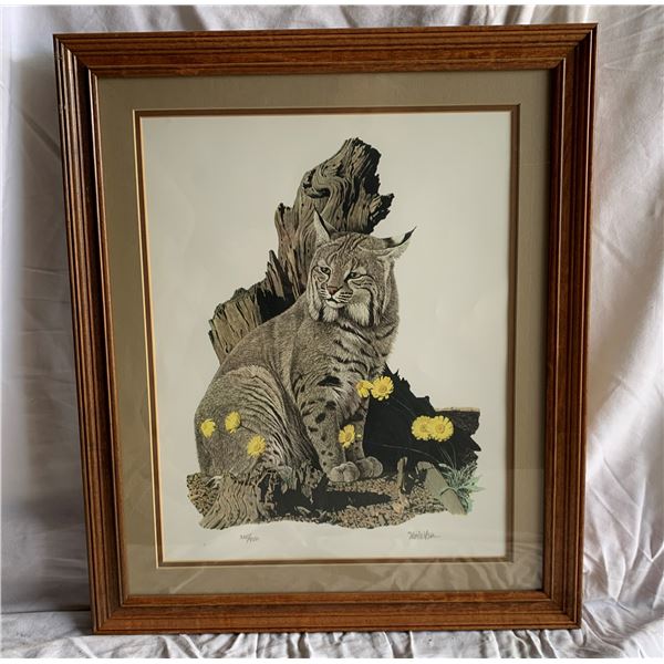 Bobcat by Nic Wilson