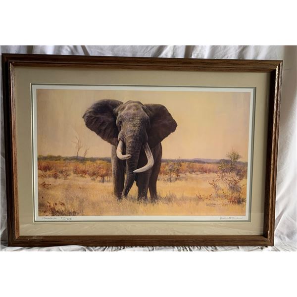 "Ndumlamithi" by Paul Bosman