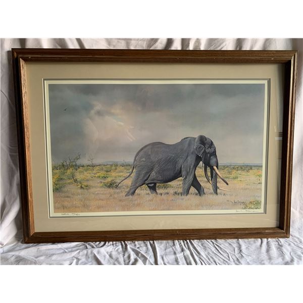 "Shawu" by Paul Bosman