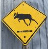 Image 1 : MOOSE CROSSING STREET SIGN ON POST 