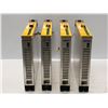 Image 4 : (4) Baumuller / Elbtronik # EUS21-15/30-31-020 Drives