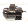 Image 5 : Bison # 017-247-0005 Gear Motor