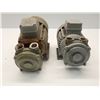Image 3 : (2) Brinkmann Pumps # KC60-612+525
