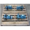 Image 1 : Lot Of (4) Calpeda Water Pumps