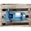 Image 3 : Lot Of (4) Calpeda Water Pumps