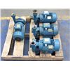 Image 1 : Lot Of (4) Calpeda Water Pumps