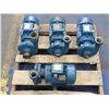 Image 2 : Lot Of (4) Calpeda Water Pumps