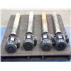 Image 1 : (4) Leroy Somer Pump and Motors