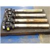 Image 3 : (4) Leroy Somer Pump and Motors