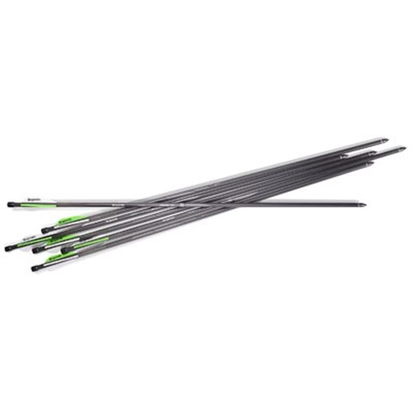 BENJAMIN PIONEER AIRBOW ARROWS 6